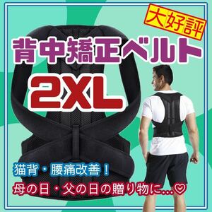 2XLサイズ　背中　矯正　ベルト　猫背　サポータ　リモート　介護　保育士　腰痛　23