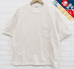 7T8336/ AURALEE STAND-UP TEE A21ST02SU オーラリー 半袖Tシャツ