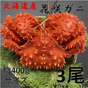 【訳あり】花咲がに　3尾（約400ｇサイズ）　ボイル　北海道産　花咲ガニ　かに　蟹　はなさきがに