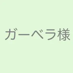 ラナンキュラス M30本