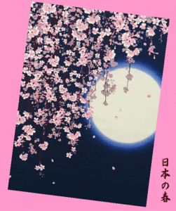 ★日本の春★四季小風呂敷(ふろしき)★枝垂れ桜(しだれ桜)・月・手拭い(てぬぐい)店★