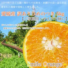 ひめのつき Smile Orange 愛媛産 訳あり ひめのつき 5kg ご家庭用 みかん 愛媛みかん 果物 国産 柑橘 柑橘類 フルーツ