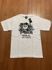 A BATHING APE × STUSSYビンテージコラボT 【Sサイズ】