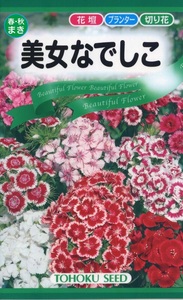 美女なでしこ 混合 色ミックス 種子 花のたね 切り花向け 家庭園芸