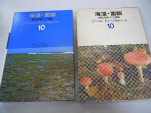 ●海藻・菌類●原色学習ワイド図鑑●10●学習研究社●1977学研●