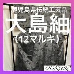 【逸品】●鹿児島県伝統工芸品●【大島紬】●泥染●生糸●紬●着物