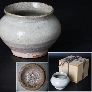 【宙】李朝時代 白磁小壺 幅11.5cm 木箱付 塩壺 痰壺 塩笥茶碗 朝鮮古陶 唐物骨董 古美術品 C11NT07.l.B