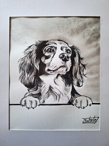 水墨画　Cavalier King Charles Spaniel 