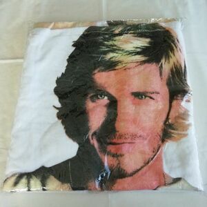 ベッカム PHOTO入り バスタオル(カラー)☆David Beckham 7☆明治製菓 FRANキャンペーン 当選品 (2003～04年頃)