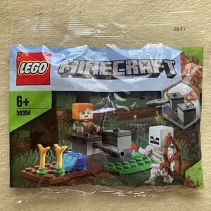 ☆新品・未開封☆LEGO MINECRAFT 30394 レゴ マインクラフト マイクラ ブロック