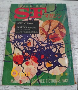 1968年6月号108/早川書房 空想科学小説誌 S・Fマガジン/検 光瀬龍野田宏一郎星新一小松左京筒井康隆眉村卓石原藤夫豊田有恒平井和正