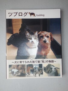 ●ツブログ　犬 に育てられた もと 捨て猫 「粒」の物語 