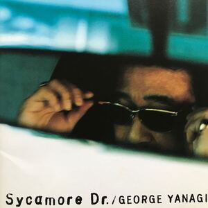 柳ジョージ ★ sycamore Dr. シャカモア・ドライヴ ★貴重廃盤CD