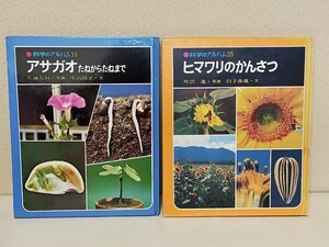 昭和【２冊】科学のアルバム　アサガオたねからたねまで　ヒマワリのかんさつ　あかね書房　レトロ　図鑑