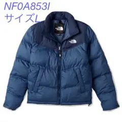 THE NORTH FACE ダウンジャケット NF0A853I サイズL