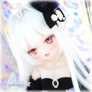 【RosenliaDoll】 DDH-01 カスタムヘッド セミホワイト肌　パテ盛り＆開口 ヘッド+レジンアイ1種+おまけ（ウィッグ）※難あり 