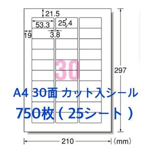 使いやすいカット入り◇A4 30面ラベルシール◇たっぷり750枚　宛名　荷札に