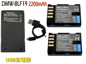 DMW-BLF19 BP-61 新品 互換バッテリー 2個 + DMW-BTC10 DMW-BTC13 BC-61 Type C USB 急速互換充電器 バッテリーチャージャー 1個 DC-S9H 