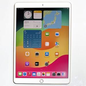 Apple iPad Pro (10.5インチ) ゴールド 256GB MPF12J/A Wi-Fiモデル iOS17.7.3 バッテリー最大容量89％ アクティベーションロック解除済