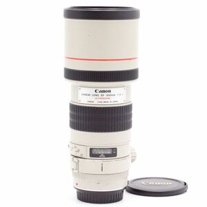 【難あり・現状渡し】 Canon EF 300mm F4L USM キャノン #3458