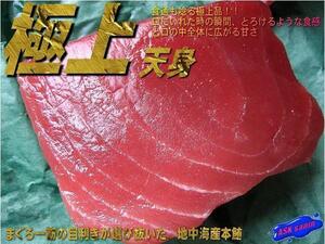 目利きが選び抜いた「赤身・天身500g」地中海産 ASK福袋訳業務用