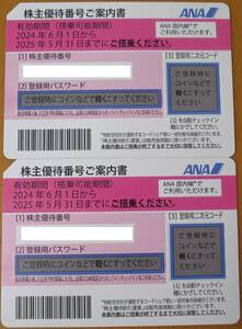 ★☆ANA　株主優待券２枚セット (搭乗可能期間2025年5月31日まで)（送料無料）☆★