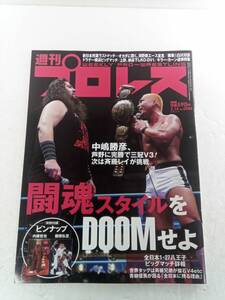 週刊プロレス　2024年2月14日号　No2286　240604