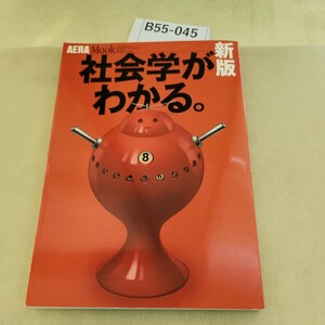 B55-045 AERA Mook社会学がわかる。朝日新聞社