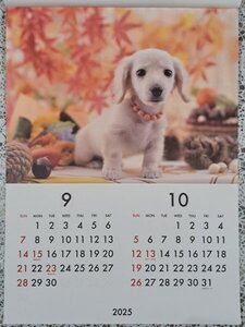 【1冊:大判 カレンダー 可愛い 子犬:B3:52x36cm】★2025★:壁掛け★犬・仔犬・いぬ・イヌ:12か月／6面★こよみ:暦:D No1