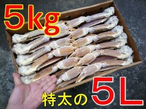 【ヤフオク 年末年始対応商品】２０２４船上凍結産地箱 極太５L 生ズワイガニ５kg【かに カニ 蟹 6a