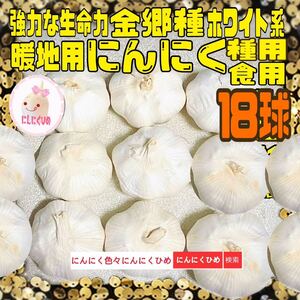 18球分　金郷種　最強？　食用兼用　即出荷　にんにくひめ　にんにく