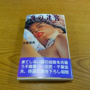 241002【匿名配送】　【小説】　肉の迷宮 ラビリンス　千草忠夫/日本出版社　APPLE NOVELS　アップル・ノベルズ　衝撃ハードロマン　帯付き