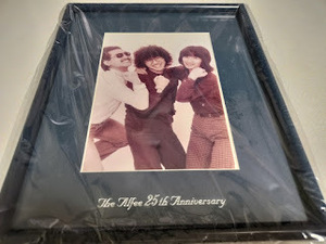 THE ALFEE　★25th Anniversary Memorial Photograph★メモリアルフォトパネル★未開封品