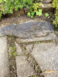G-063 火山石 噴火石 盆栽用石 サイズ高さ8.5cm 幅32cm 奥行11 cm 重さ2kg 鑑賞石 盆栽石 庭石 オブジェ インテリア 飾り物