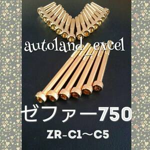 即決☆ゼファー750金メッキエンジンカバーボルト！