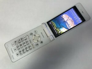 GK890 docomo P-01J 判定〇 ジャンク