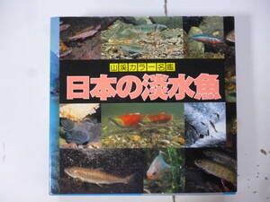 山渓カラー名鑑　　日本の淡水魚