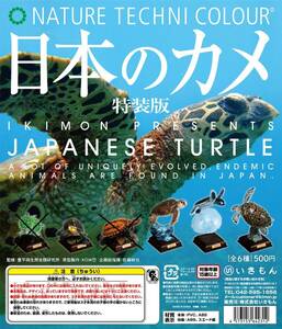 【内袋未開封】NTC 日本のカメ 特装版 ヤエヤマセマルハコガメ アカウミガメ アオウミガメ（幼体） タイマイ４種セット