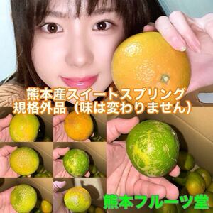 【規格外品！味は変わりません】見た目を裏切る美味しさ【熊本産スイートスプリング】フリーサイズ約10kご家庭用　熊本フルーツ堂14