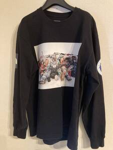 [ザノースフェイス] 長袖Tシャツ ロンT L/S トランスアンタークティカティー メンズ NT82230　XL