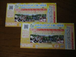 よみうりランド　入園招待券　2枚セット　有効期限2024年10月31日(木)　送料無料