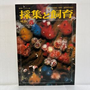 採集と飼育 1978年5月号★イバラカンザシの鰓冠/フタバアオイのまつり/海の中の自然/アサガオの変わりもの/生物の知識・観察と実験