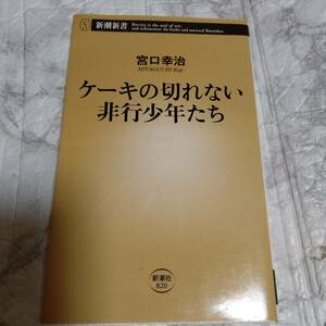 ケーキの切れない非行少年たち 宮口幸治 著新潮新書