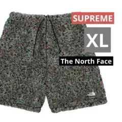 Supreme / The North Face Fleece Short