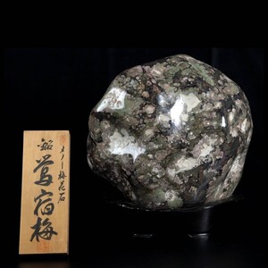 古美術品 瑪瑙梅花石 「鴬宿梅」 特大37cm 36kg 木台、木札付 鑑賞石 水石 盆景 天然石 唐物骨董 T[B293.1]PT3/24.3廻/SI/(佐160)