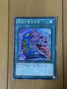 遊戯王 強欲で貪欲な壺 スーパーレア TDIL-JP066