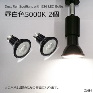 ダクトレール用 スポットライト 2個セット 黒 5000K 昼白色 E26 交換 電球 送料無料/20