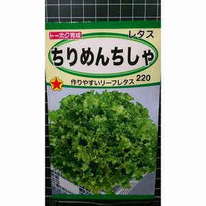 ３袋セット ちりめん ちしゃ リーフ レタス 種 郵便は送料無料