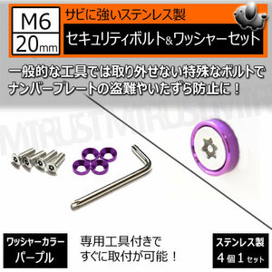 ステンレス製 セキュリティーボルト ワッシャー M6 20mm 4個セット パープル ナンバーボルト 盗難 いたずら 防止 防犯 盗難防止