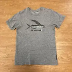 Patagonia フライングフィッシュ Tシャツ メンズS